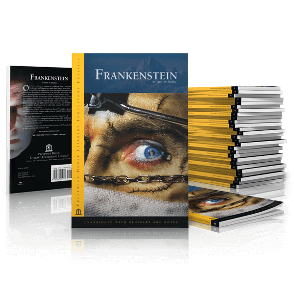 Frankenstein Literary Touchstone Classic